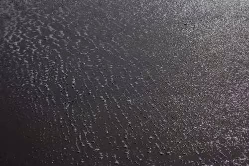 Item #110563264937173630415102547684714144673786021135482478862181301885614138851329 Media