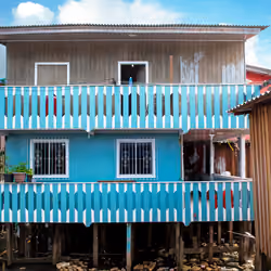 Amazon Facades #45