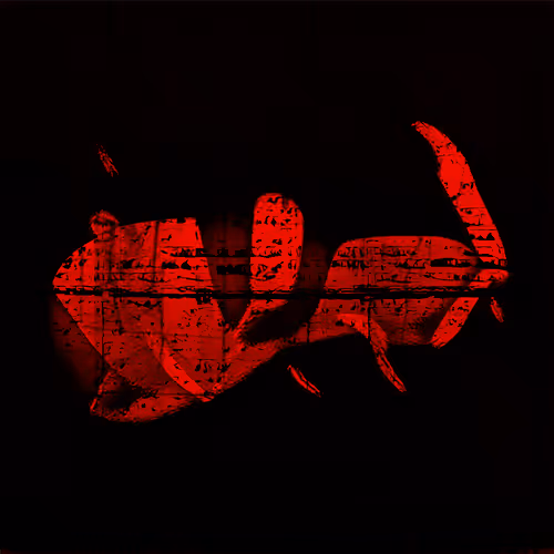 Item #66739732404196370199565632626747990796008273962461566573350577520679820722177 Media