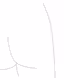 Not Picasso