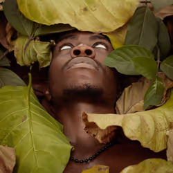 51440113124645405295792315763072718845234254474436546036312618466381479804929