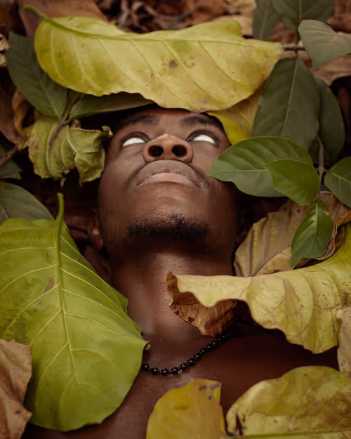 Item #51440113124645405295792315763072718845234254474436546036312618466381479804929 Media