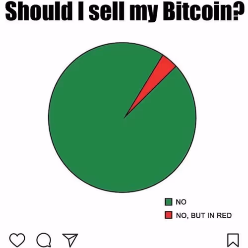 Untitled Collection #81491482