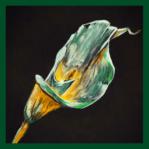 5779281467826994107992422148601232503379904017104496064971971711989660516353