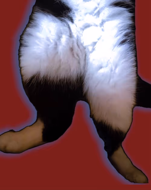 Item #102825742346471317200430870299384798244054491024687449036004975679818344431626 Media