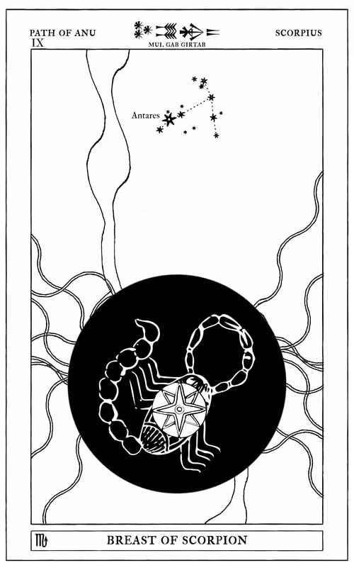 Item #72428202001668189821112342847260883540127111684781981942259052861846387163137 Media