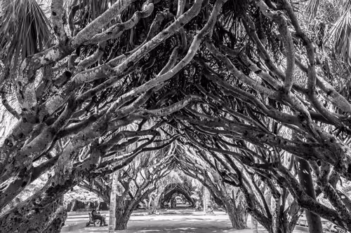 Item #105679162715773690367894814568251153202929894369313826483118647864181718515717 Media