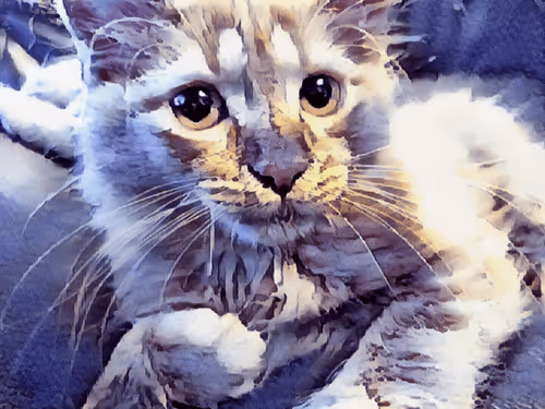 Item #70677597916389332091875359855925065117436584504780574341127713069774418214913 Media