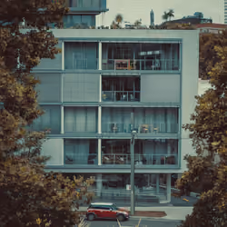 Peeking through the windows
