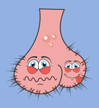 Item #22793047471806318065020766672709763262679883798276267629942525622768526950401 Media