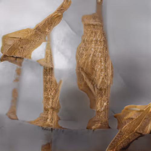 Item #72191770546992921943267033160474518012437629238460681668476305497554228871169 Media