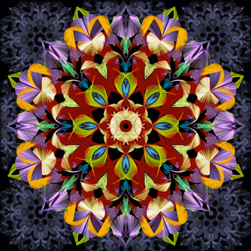 Item #72265668148389909526692948266359502736940339409835531939414465346185098952705 Media