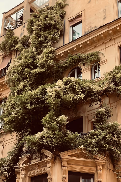 Item #106962716921335990762713992472161684452961633480742312471954214540346463879169 Media