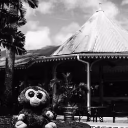 Caeser in Seychelles
