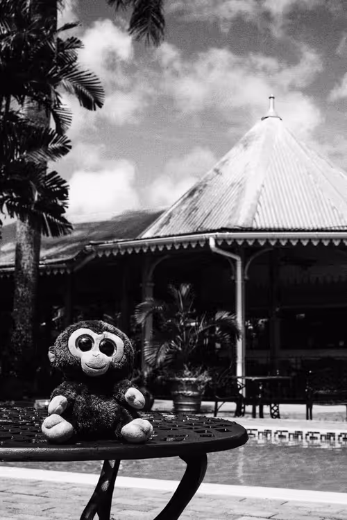 Item #78523124948883737191824425685370443041181342440538518293301156659168551108609 Media