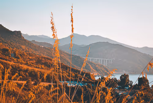 Item #112140504349659096597186226025137541107846911369797324703227254189882383269889 Media