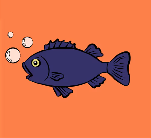 Item #78155106395060651182382785203103240615047500410980570494166330531108584685569 Media