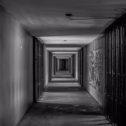 495481811379815144822817045191940406025038668845752407780710001573374197761