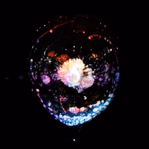 Lifeinbubble 9nMOU4wimF