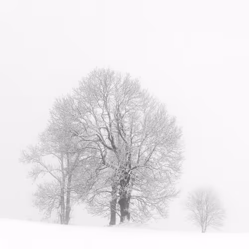 Item #82038507178112004707132471695972498506825775528903589266831690694163018285057 Media