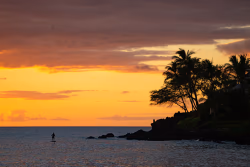 Item #38069088421557280780080489884356511775313840977413642295707171785252391616513 Media