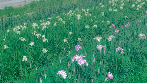 Item #26309083901545567454709889211670292098627789932924015051489478931687634108421 Media