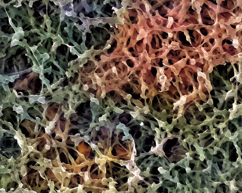 Item #22177301469207423034343584871570086378673375420367340164683847222072105238529 Media