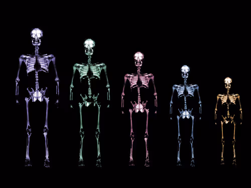 Item #110773249550999683396451680268898954302169662555248221071322176216242751275009 Media