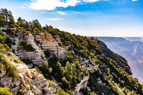 Item #44465766653785609870851624606881938772704909721973513553838201787383975772161 Media