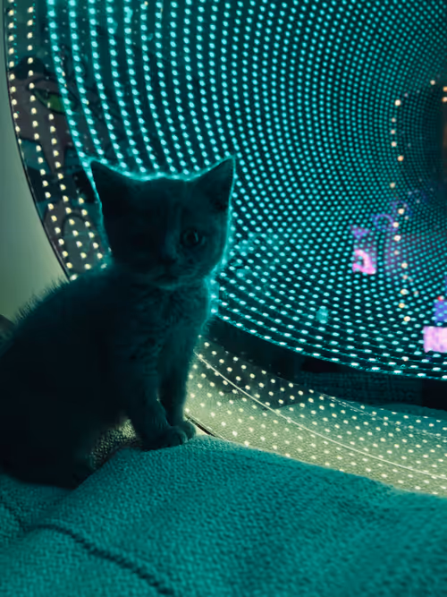 Item #98303678749230887765646495292183851595328656567636490463032443513386074898433 Media