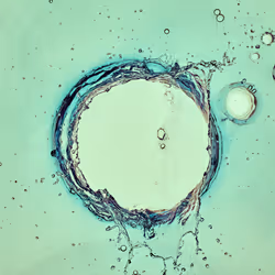 46489901761508154690977052556102681350934379687164571149816291715095235395585