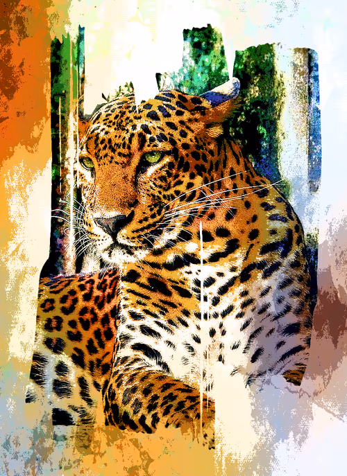 Item #112706814490930413132795555787302569515543672113453404084317514467803444281345 Media