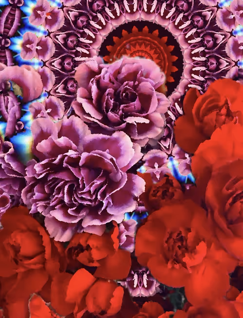 Item #87095977270227967051610380023375735428214688189489313843568760492328124153857 Media