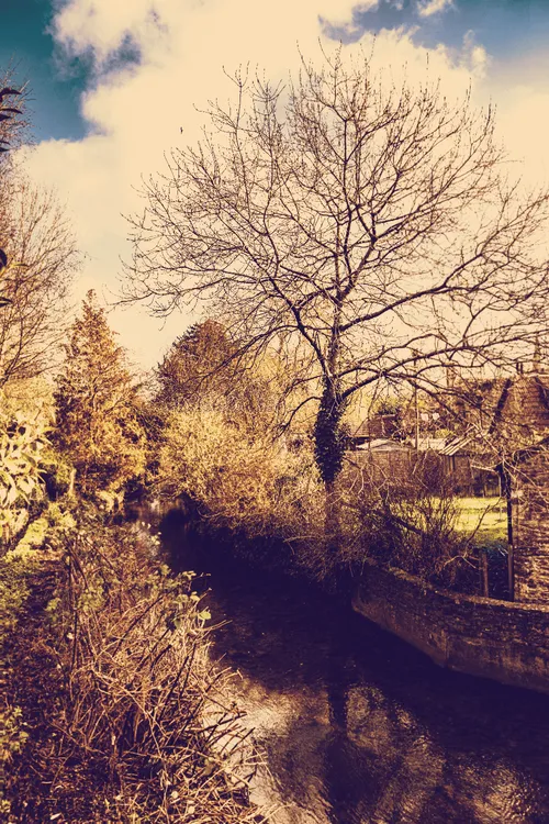 Item #95930744612989253264341458363878669706731092846429446161851758975158939811841 Media