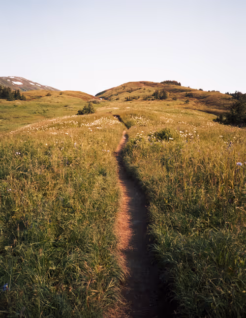 Item #86204936525623062478772312076709802278598486618652010465124009087806679810049 Media