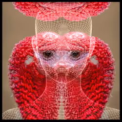Turkeyhead 3
