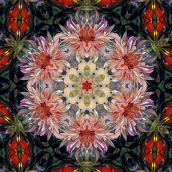 68926149186134342892429898681651910528467495506184414078323304688348743860225