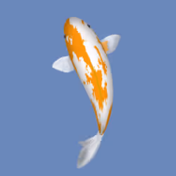 85890538515849146191794191908996501016024634704301377485849144953360460283905