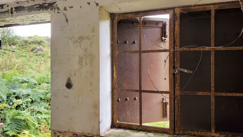 Item #13473500973687785898796463285955460631407349614781281766798596472822017556481 Media