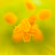 20605859276856595207214849508316421258678592260644373894611741368099669016577