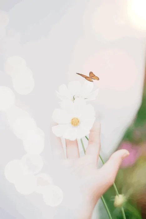 Item #10286067785987397475695861072081322574050251842707954506251798364866127855617 Media