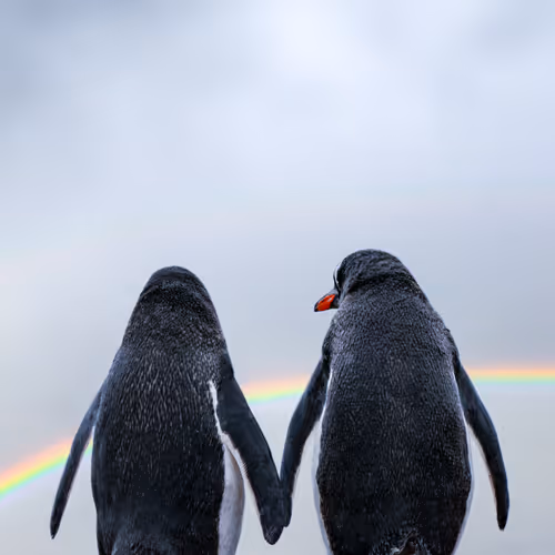 1833942018307685364430672493149383567190945732151624631916381567055109816342