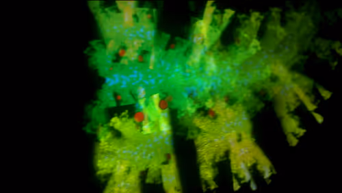 Item #67457553150443021914092587022250176347061355639032054621716075734266770620417 Media