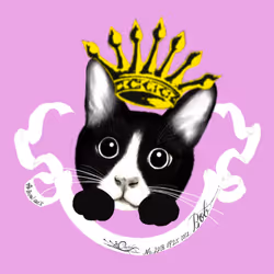 22126065719569683991131321902578450543022560504422507385304151373215185240065