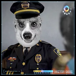 111382940797549926072182132084453587103373599318757002811834640488310620815361