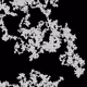 46443140435526123263349023868976142915031731050544552291035459362718402740225