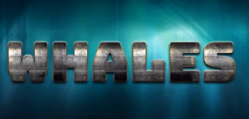 Item #104099004194732186528107260891908231378147874233508203101203207567618164654081 Media