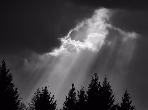 Item #81425468840217938130335513187731669853655760223415782332089084419551189270529 Media