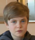 Fannar uden venner
