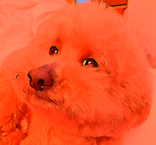 Item #28118648799816774761105243602691368894337380419413111794269179221403716550657 Media